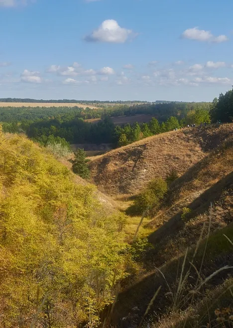 2020 - Фестиваль Коло Лісу (19.06-21.06)-63